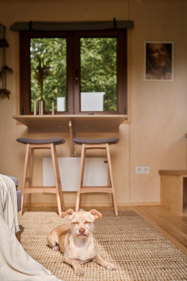 Tiny House Orebro Ngoại thất bức ảnh